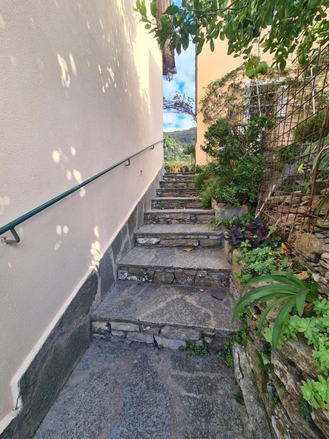 Castrusso Il Frantoio Di Rapallo By Portofinovacanze Exterior foto